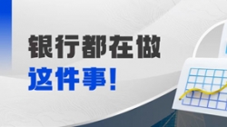 抢跑财政数字时期，，，，，，“总账国产化”成为银行的关键钥匙？？？？？？？